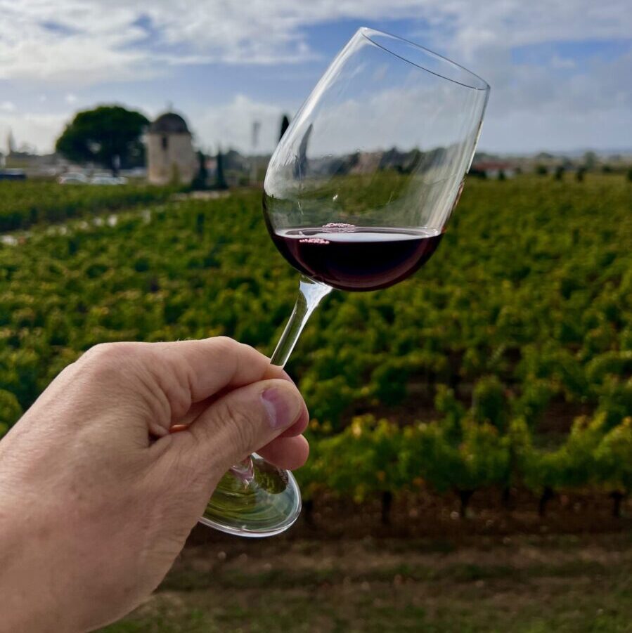 A hand holding a wineglass with red wine against a vineyard backdrop under a cloudy sky.